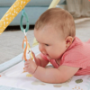 Ginásio Fisher-Price Desperta os Sentidos Autobrinca Online