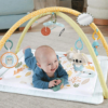 Ginásio Fisher-Price Desperta os Sentidos Autobrinca Online