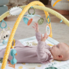 Ginásio Fisher-Price Desperta os Sentidos Autobrinca Online