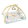 Ginásio Fisher-Price Desperta os Sentidos Autobrinca Online