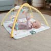 Ginásio Fisher-Price Desperta os Sentidos Autobrinca Online