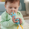 Ginásio Fisher-Price Desperta os Sentidos Autobrinca Online