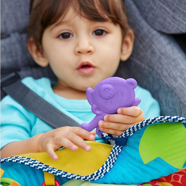 Manta de Passeio
