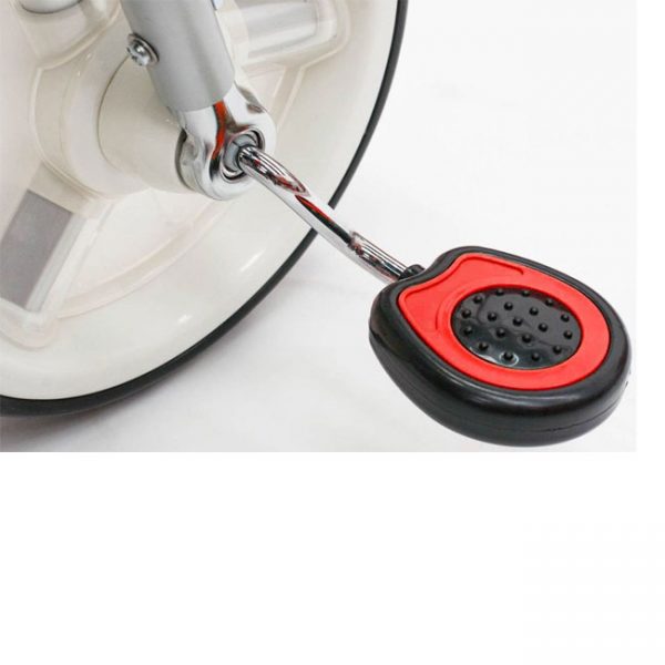 Triciclo Gémeos c/ Assentos Giratórios Twin Red Autobrinca Online
