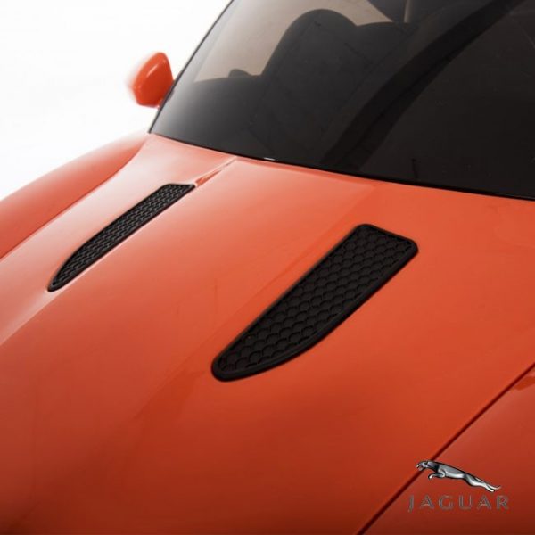 Jaguar F-Type 12V c/ Controlo Remoto