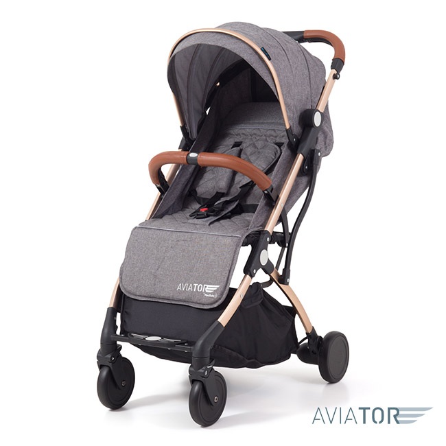 Carrinho Aviator Grey Golden