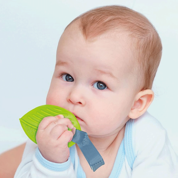 Baby Ginásio de Atividades Autobrinca Online