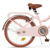 Bicicleta toimsa vintage 20 2025