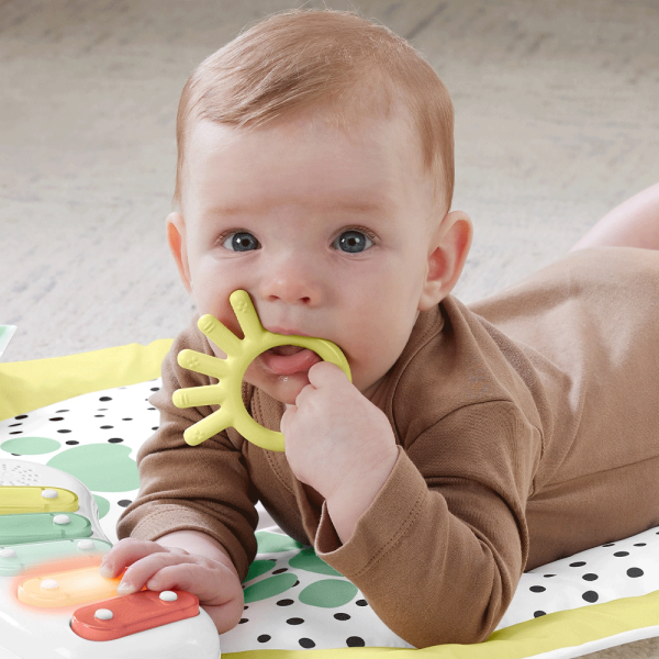 Centro de Atividades 3 em 1 Fisher-Price Snugapuppy Autobrinca Online