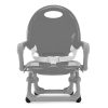 Assento Elevatório Chicco Pocket Snack Sage Autobrinca Online