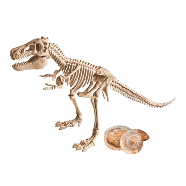 Kit Arqueologia T-Rex Gigante Autobrinca Online