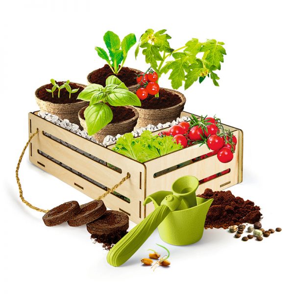 Kit de Jardinagem Autobrinca Online