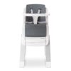 Cadeira de Papa Nuna Zaaz Carbon Autobrinca Online