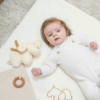 Peluche Nattou Cãozinho Charlie c/ Melodia Autobrinca Online