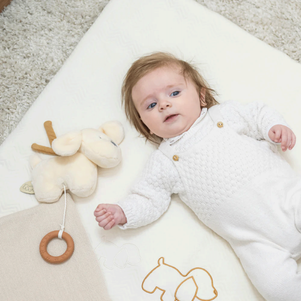 Peluche Nattou Cãozinho Charlie c/ Melodia Autobrinca Online