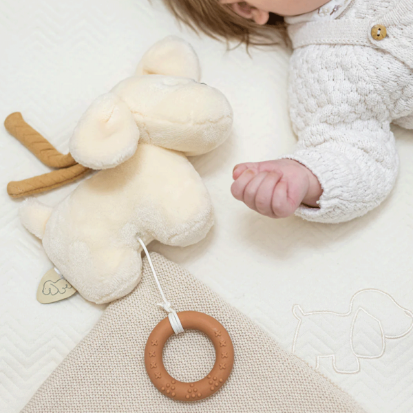 Peluche Nattou Cãozinho Charlie c/ Melodia Autobrinca Online