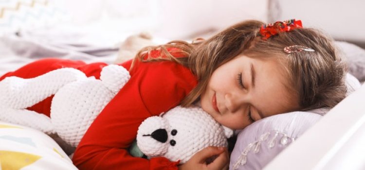 quantas-horas-deve-dormir-uma-crianca-blog-autobrinca