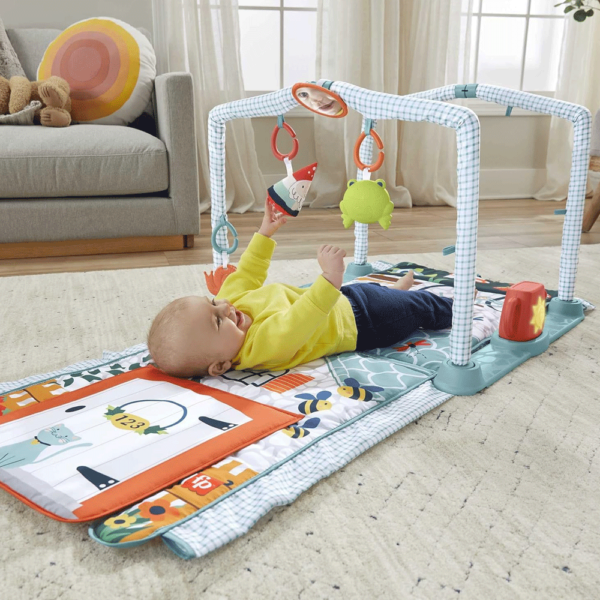 Ginásio de Atidades Fisher-Price 3 em 1 Gatinha e Brinca Autobrinca Online