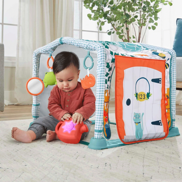 Ginásio de Atidades Fisher-Price 3 em 1 Gatinha e Brinca Autobrinca Online