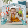 Ginásio de Atidades Fisher-Price 3 em 1 Gatinha e Brinca Autobrinca Online