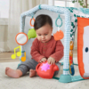 Ginásio de Atidades Fisher-Price 3 em 1 Gatinha e Brinca Autobrinca Online