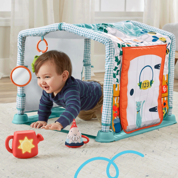 Ginásio de Atidades Fisher-Price 3 em 1 Gatinha e Brinca Autobrinca Online