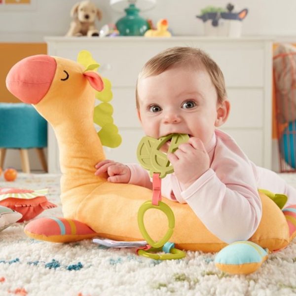 Ginásio de Atividades da Girafa e Amiguinhos da Selva Fisher-Price