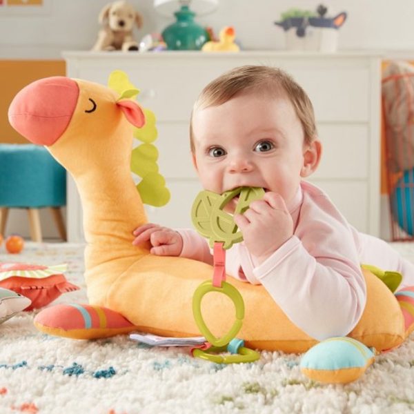 Ginásio de Atividades da Girafa e Amiguinhos da Selva Fisher-Price Autobrinca Online