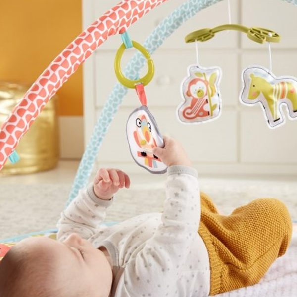 Ginásio de Atividades da Girafa e Amiguinhos da Selva Fisher-Price