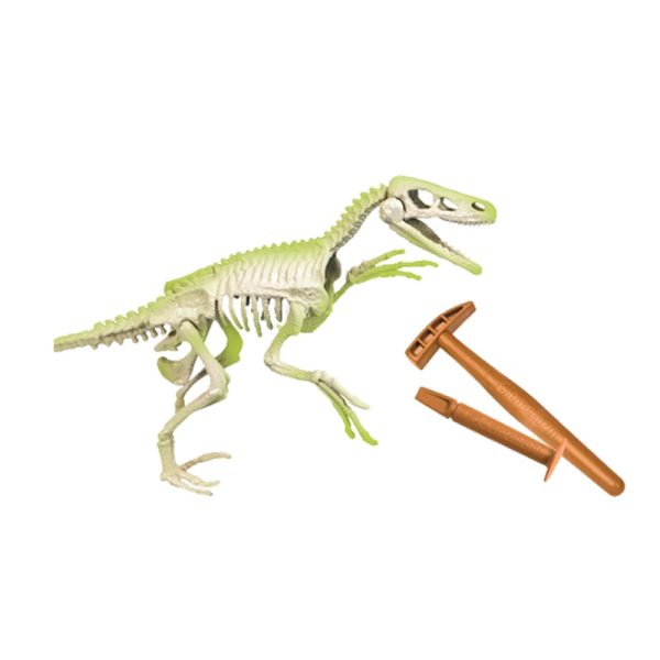 Kit Arqueologia Dinossauro Velociraptor Autobrinca Online