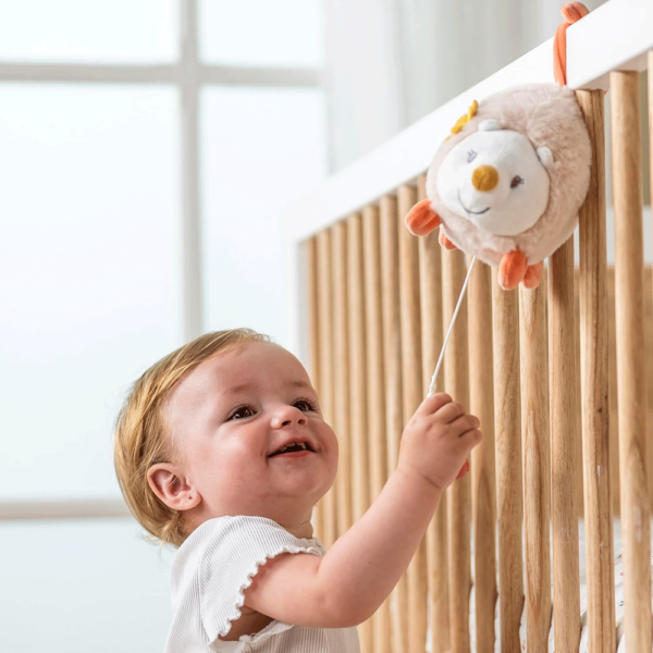 Peluche Nattou Ouriço Zoe c/ Melodia Autobrinca Online