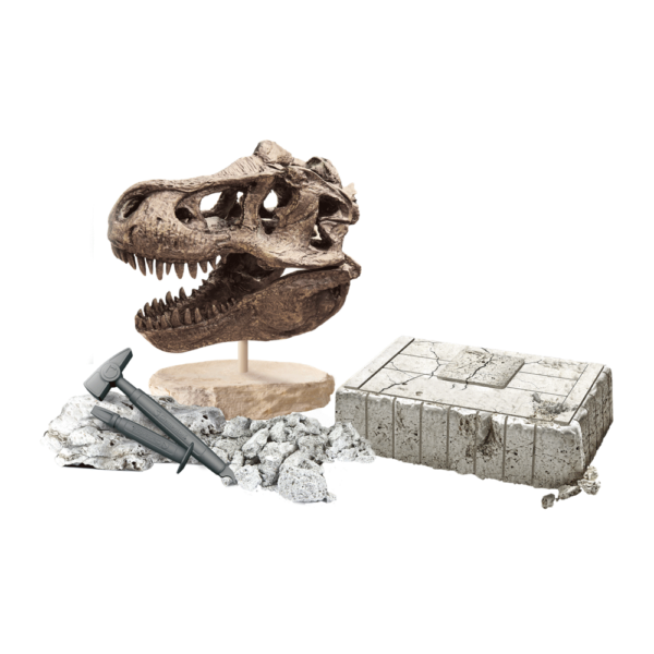 Kit Arqueologia Crânio T-Rex Autobrinca Online