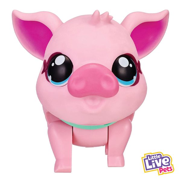 Little Live Pets Porquinho My Pet Pig Autobrinca Online