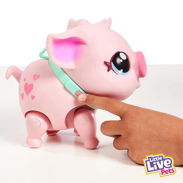 Little Live Pets Porquinho My Pet Pig Autobrinca Online