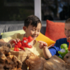 Smashers Dino Island – Caveira Pequena T-Rex Autobrinca Online