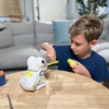 Ycoo Robot Frog Autobrinca Online