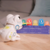 Ycoo Robot Frog Autobrinca Online