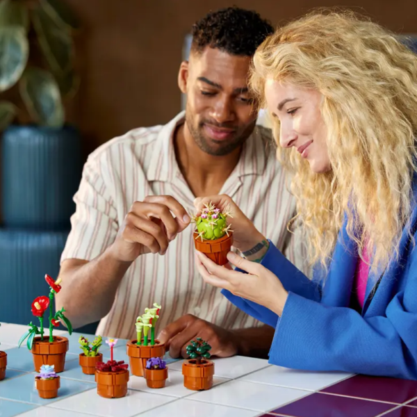 LEGO Icons – Plantas em Miniatura 10329 Autobrinca Online