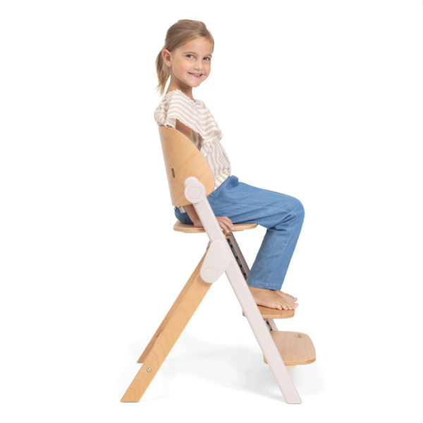 Cadeira Papa Evolutiva Chicco Meraviglia Fossil Autobrinca Online