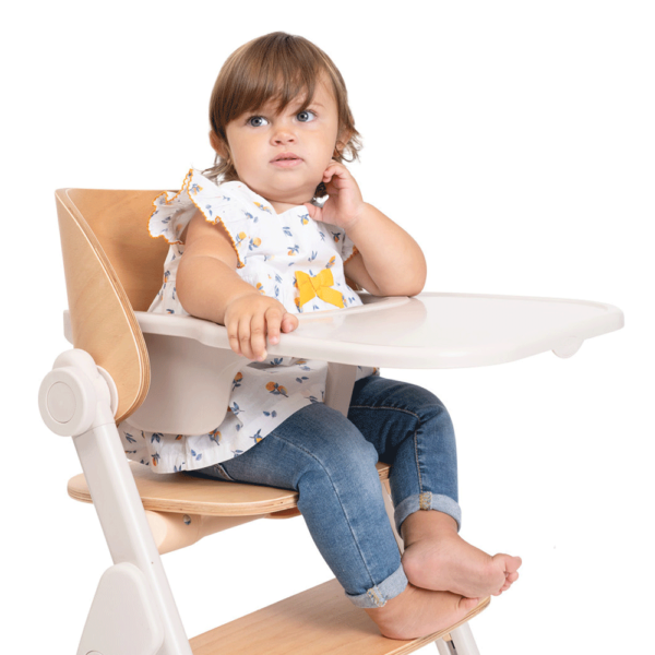 Cadeira Papa Evolutiva Chicco Meraviglia Fossil Autobrinca Online