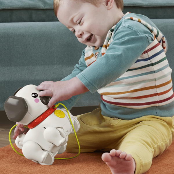 Fisher-Price Cãozinho Pug Passeia Comigo Autobrinca Online