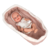 Boneca Elegance Arias Oli Rosa c/ Alcofa 38cm Autobrinca Online