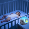 Ouriço Dia e Noite Chicco Autobrinca Online