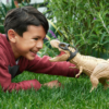 Jurassic World Dino Trackers Tyranossaurus Rex Autobrinca Online